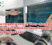 The Importance of User-Centered Design in Website Development for UAE Businesses